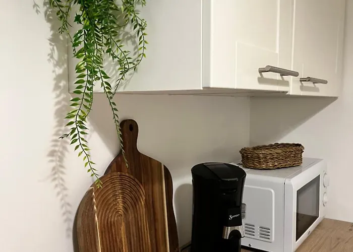 Lägenhet L Echappee Verte Épinal